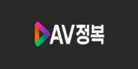 AV정복