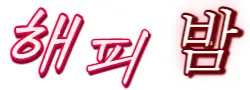 해피밤