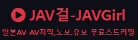 JAV걸