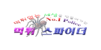 먹튀스파이더