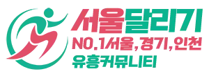 서울달리기