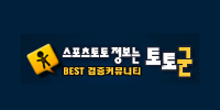 토토군