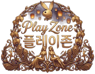 플레이존