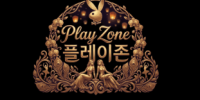 플레이존